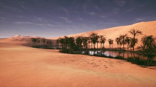 Oase umgeben von Sanddünen unter klarem Himmel bei Sonnenuntergang