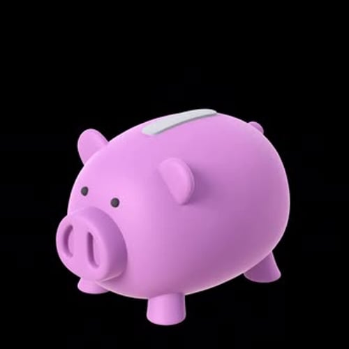 Coin Bank