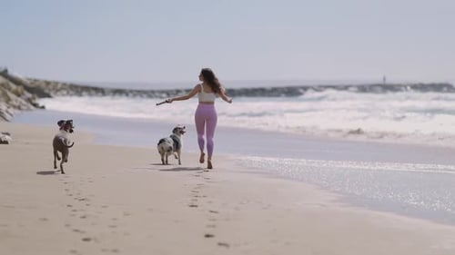 Woman Playing Fetch with Two Dogs on a Sunny Beach
