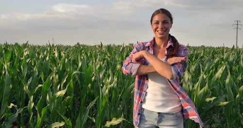 Beautiful girl (woman) farmer smiling, looking, checking cornfield, young tanned, green background