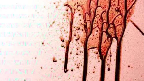 Graphic Display of Simulated Blood Splatter and Dripping