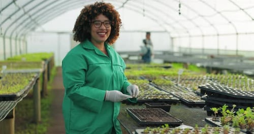 Woman Plants Seedlings in Sunny Greenhouse