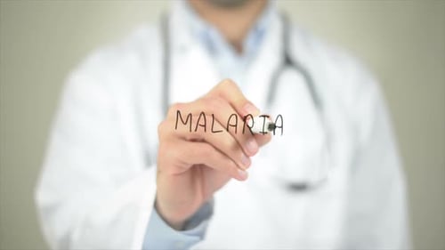 Paludisme, médecin écrivant sur écran transparent