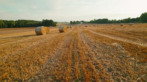 Nahaufnahme großer Heuballen, die während der goldenen Stunde bei Sonnenuntergang auf einem abgeernteten Feld ruhen