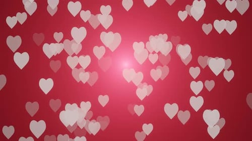 Floating White Hearts Loop on Romantic Red Background