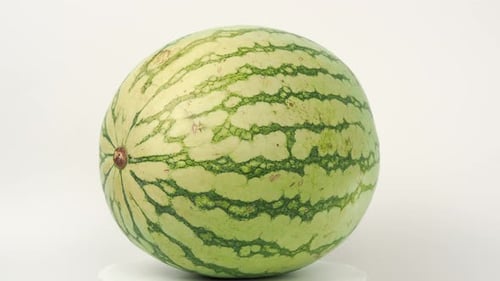 Rotierende gestreifte Wassermelone auf weißem Hintergrund.