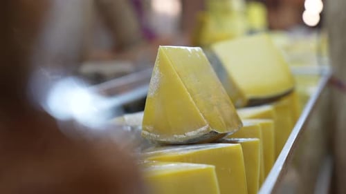 cheddar cheese