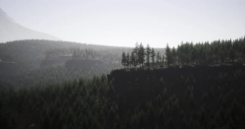 Realistic Aerial View of Dense Forest Mountains Landscape