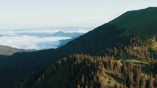 Flying up in the sky. Majestic Carpathian Mountains. Beautiful landscape of untouched nature