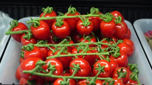 Red Tomatoes