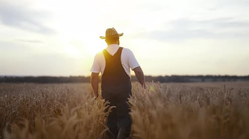 Enjoy Simple Rural Life Farm Worker Walking in Agricultural Fields in Sunset Cinematic Slow Motion