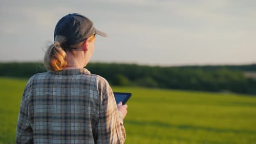 A Farmer with a Tablet in His Hands Inspects His Wheat Field