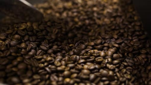 Pile of Dark Roasted Coffee Beans