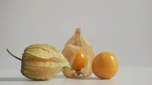 Groseille du Cap, physalis isolée sur fond blanc.