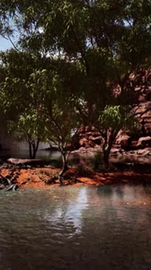 Grand Canyon and Colorado River