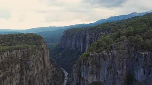 Wunderschöne Luftaufnahmen von Bergschluchten mit einem grünen Wald darauf