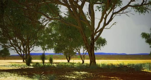 Lush Green Trees Provide Shade in a Serene Australian Landscape at Dusk