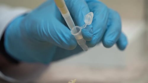 Close view hand takes a liquid solution from a test tube.