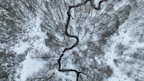 Luftaufnahme von oben nach unten malerische schneebedeckte Winterlandschaft weißer gefrorener Wald mit einem kleinen Fluss, der durch den