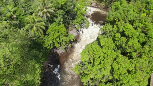 Aerial footage of tropical lush green vegetation along water cascades. Fly above wild creek in natur
