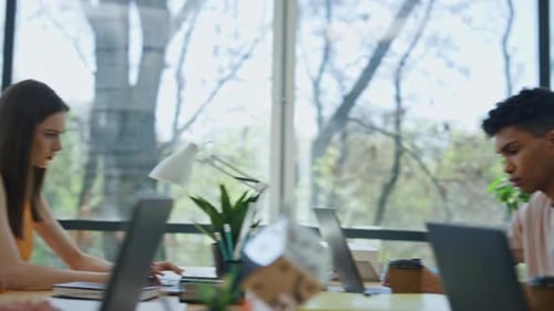 Modern Office Collaboration with Laptops and Natural Light