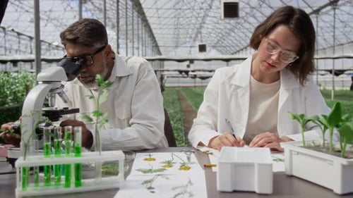 Two Botanists Using Microscope and Discussing Plant Specimens in Greenhouse
