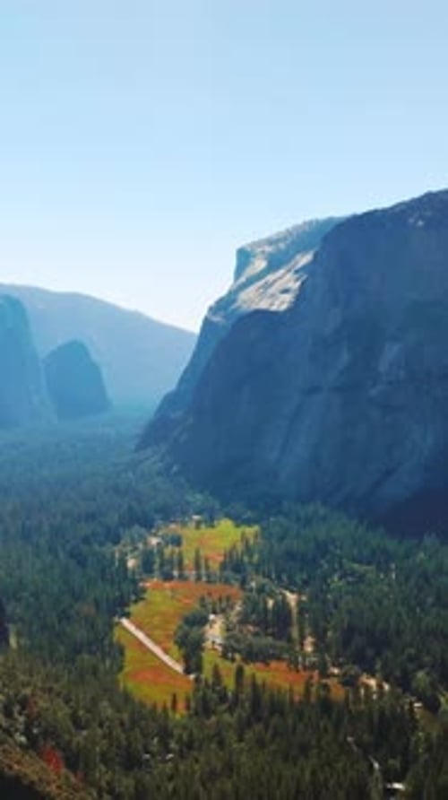 Pine tree woods growing on the mountains and valley. Sunlit panorama of amazing rocks at Yosemite