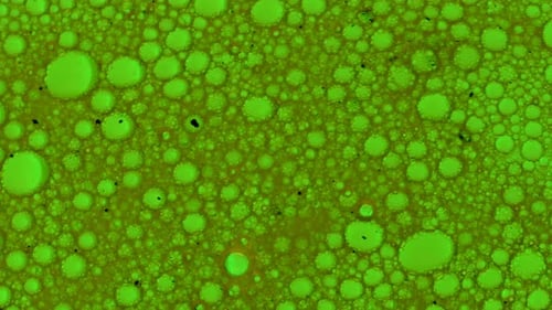 Structure movement of green bacteria oil bubbles in liquid. Abstract glowing paint.slow motion Top