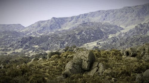 Rocky Terrain with Low Vegetation in a Mountainous Landscape During Daylight