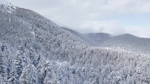 Snowy Winter Landscape Aerial View of Mountains and Forest