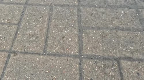 Regentropfen fallen bei leichtem Regen auf den Stadtpflaster