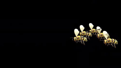 Animated Swarm of Flying Bees