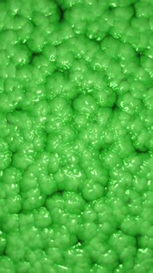 Vertical Video - Green Slime Cellular Organism Background