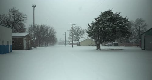 Schneeflocken fallen während des Winterschneesturms in Filmmusik Zeitlupe auf den Boden und die Bäume.