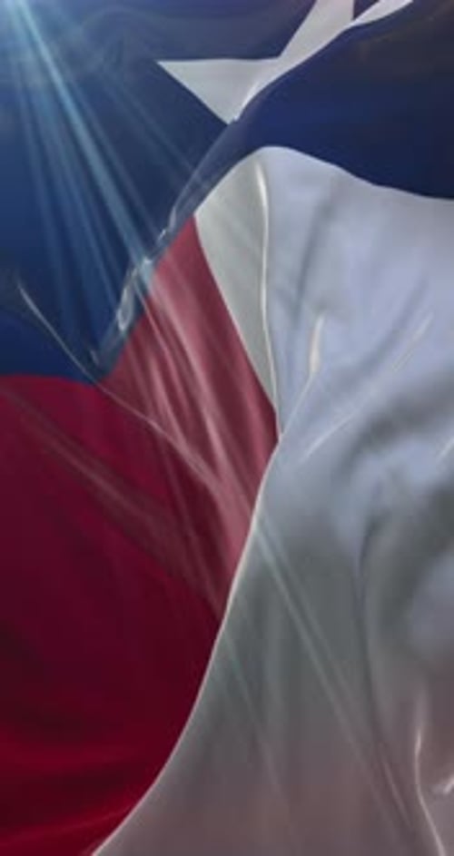 Texas Flag