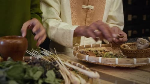 Healers Separating and Grinding Herbs at Apothecary
