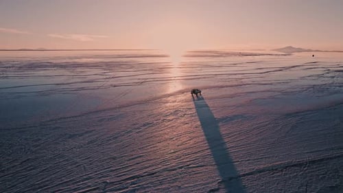 Puesta de sol en Salar de Uyuni (viaje en pareja) - Bolivia