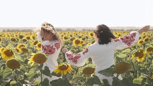 Two Young Ukrainian Women Friends in Embroidered Shirts Walking in a Field of Sunflowers at Sunset