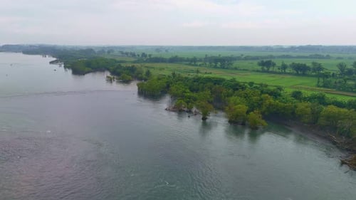 Aerial view of a serene coastline with mangroves