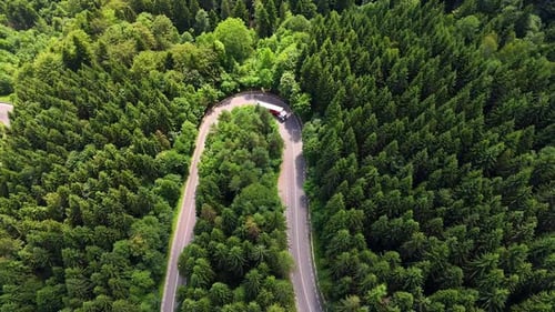 Truck makes a turn on a winding road through green forest in daylight hours.