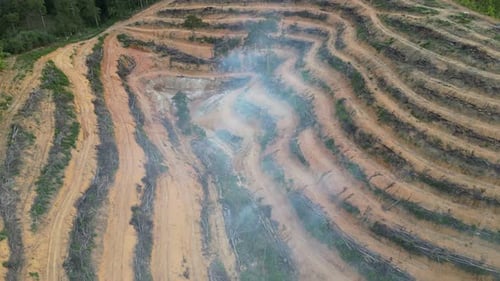 Deforested Red Earth Landscape with Smoke Rising
