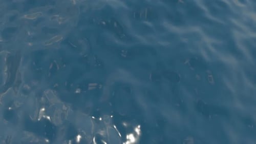 Seamless Looping Blue Water Surface Ripples Reflection Background