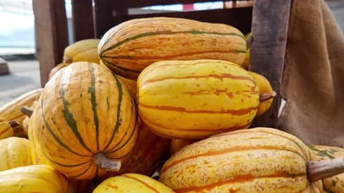 Vue rapprochée de courges délicates à rayures jaunes fraîchement récoltées dans un magasin du marché.