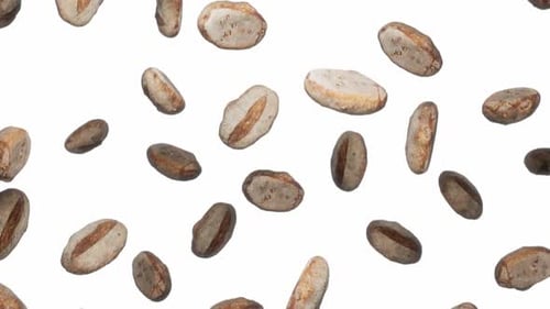 Realistic Loaves of Bread Falling Down Animation