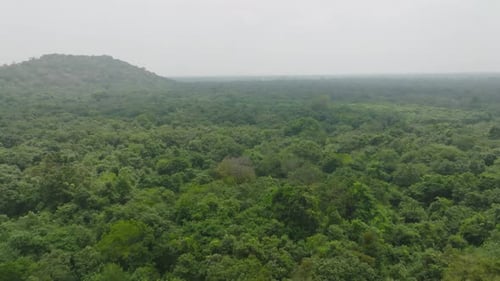 Aerial Drone View of Tropical Forest and Hills