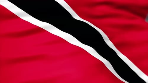 Trinidad and Tobago National Flag Waving in Realistic Loop