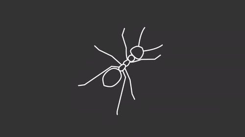 Animated insect white icon