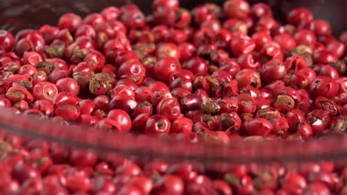 Bowl of Fresh Red Peppercorns, Close Up