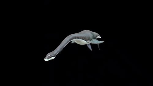 Plesiosaurus untätig