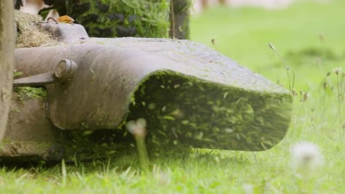 Aufsitzrasenmäher, der Gras in Zeitlupe mäht, mit Löwenzahnpflanze im Vordergrund, während die Räder rückwärts fahren